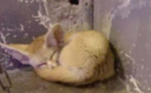 �����ϣ����˲���ĺ���ְ֡������15ƪ