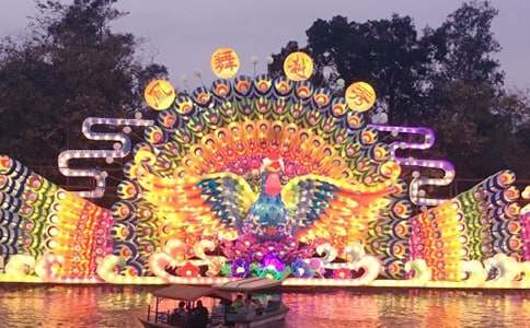 看花灯日记范文汇总7篇