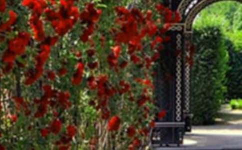 ���˵Ļ�԰�����(����15ƪ)