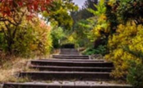 《谁的花园大》教案