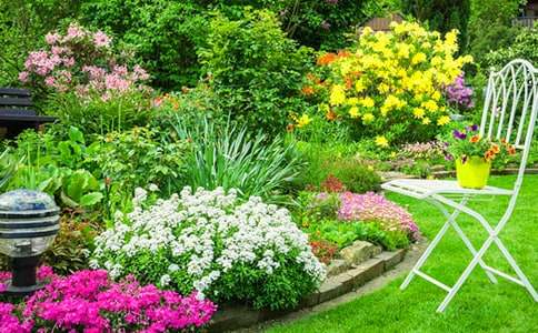 ������Ļ�԰�������