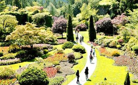 ���˵Ļ�԰��ѧ�������