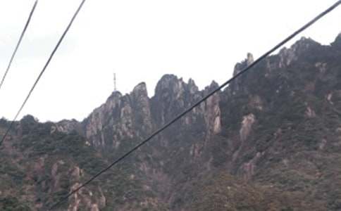 黄山奇松的教学反思(精选5篇)