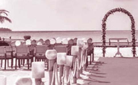 婚礼证婚人的致辞(通用29篇)