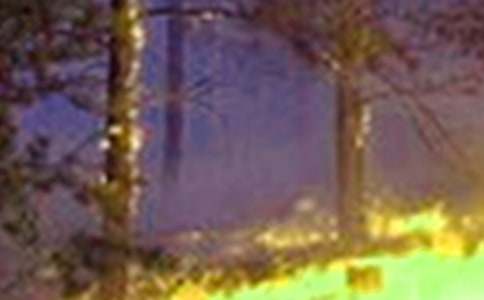 ���ֵĳ�����