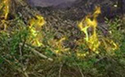 �����֡����̰�