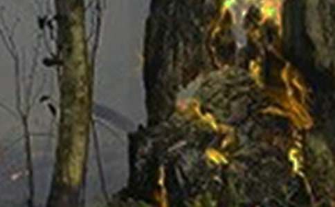 ���־�������ôд