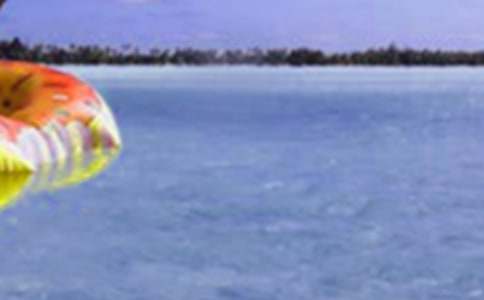 ����Ȥ���ռǷ��Ļ�����ƪ