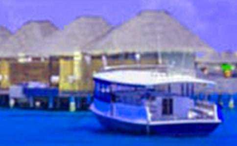 �����ڰ�ȫ�̰�