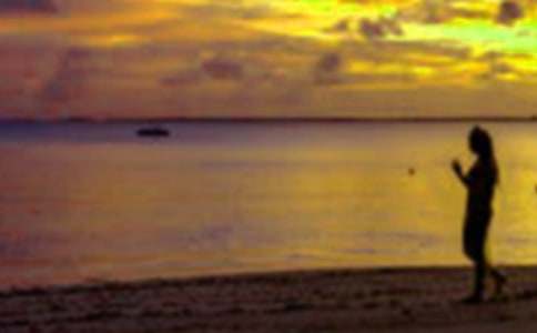 我的假期生活日记集锦15篇