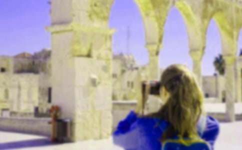 ���м����������ľ�ƪ