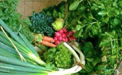 大班健康教案15篇