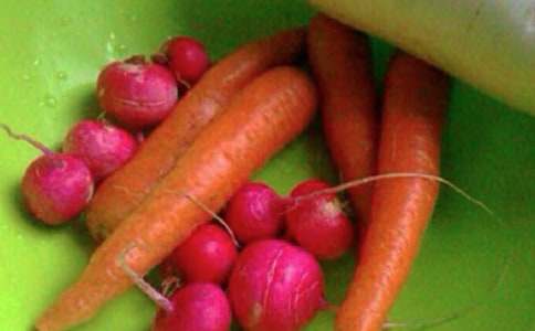 ����ѡ������������ѧ�ƻ�4ƪ