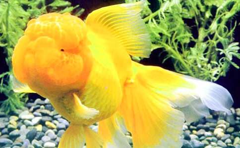 �������ռ�