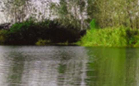 景色的初中作文汇编【8篇】