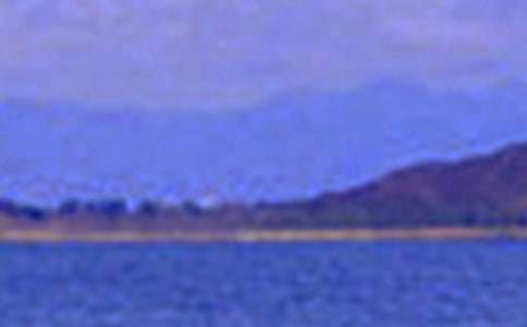 景色的初中作文300字汇编九篇