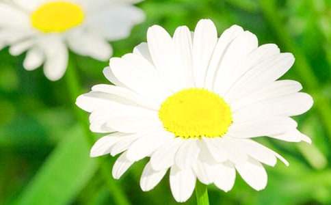 ���;ջ�������˵˵