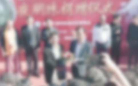 ��ҵ������ʽ�����壨��ѡ22ƪ��