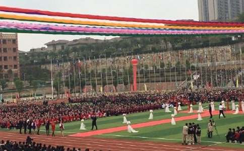 ��ѧ�����ܽ�15ƪ