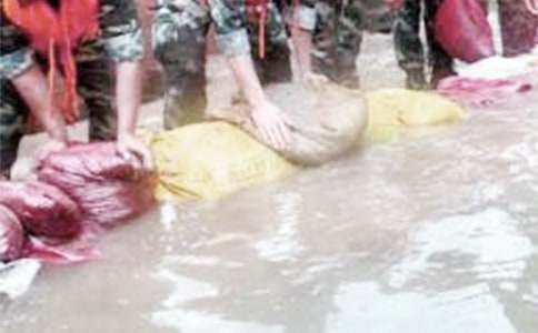 抗洪救灾倡议书(精选20篇)