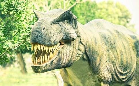 《恐龙世界历险记》读后感