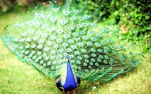 ��ȸ���Ϸɶ����(14ƪ)