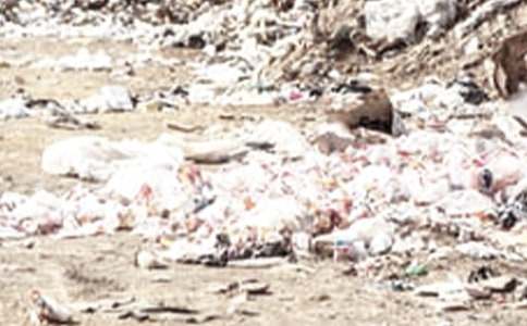 ��Ҫ���������������鷶�ģ�ͨ��38ƪ��