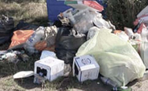 捡垃圾活动总结14篇