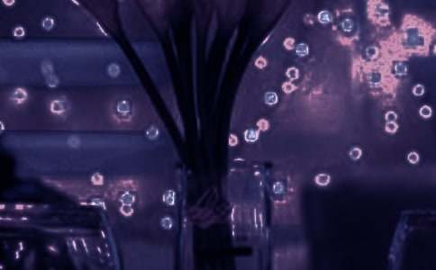 关于浪漫唯美说说语录汇总50句精选