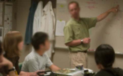 语文老师教学工作计划15篇