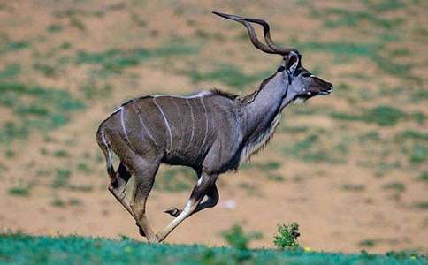 ����ľ������