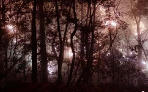 �賿���������˵˵