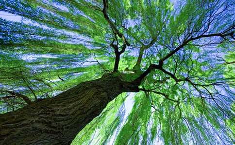 ��д�������ռ�