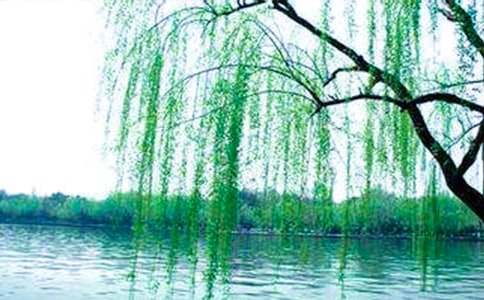 ����������̰����İ�ƪ