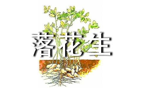 《落花生》教案15篇
