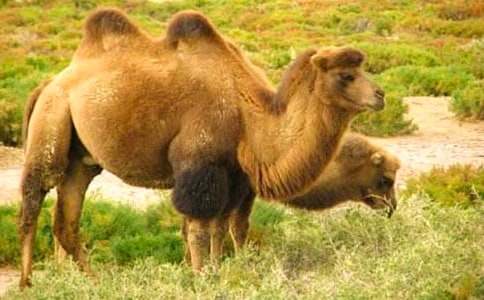 �����ն����11ƪ