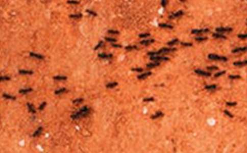 �����š����Ϲ۲��ռǼ���10ƪ