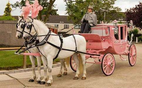 《邮递马车》教学反思