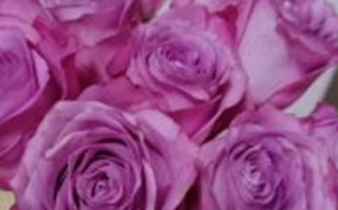 ��С¹��õ�廨����ѧ��˼15ƪ