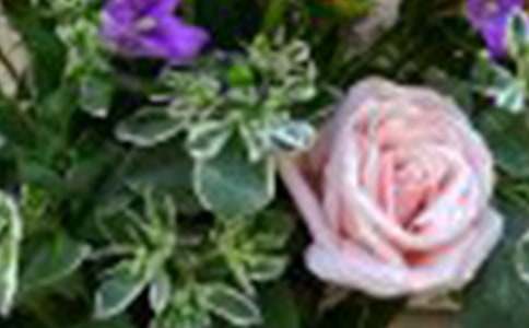 �������е�õ���и�