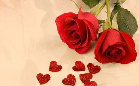 小学写花玫瑰花的日记