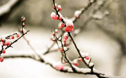 ��÷���꡷��ѧ��˼ͨ��15ƪ