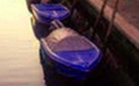 �������Сѧ����300��