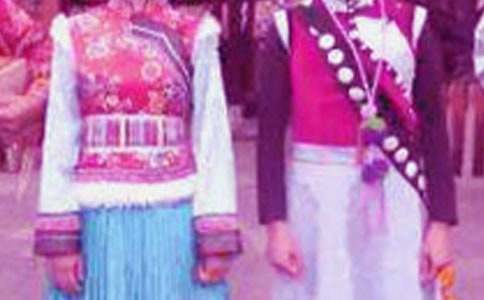 《北方民族大融合》教学反思