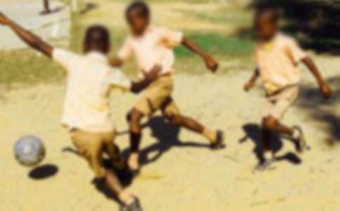 读《手斧男孩》有感【实用】