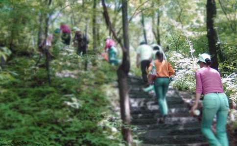 爬山日记模板汇编六篇