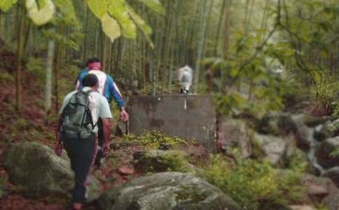 ��λ��ɽ��ܽ�8ƪ