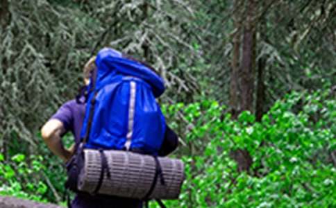 关于爬山日记模板汇编十篇