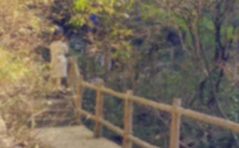 我的爬山历程日记范文五篇