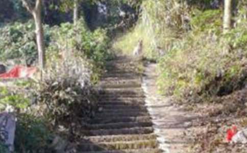 ��λ��ɽ��ܽ�